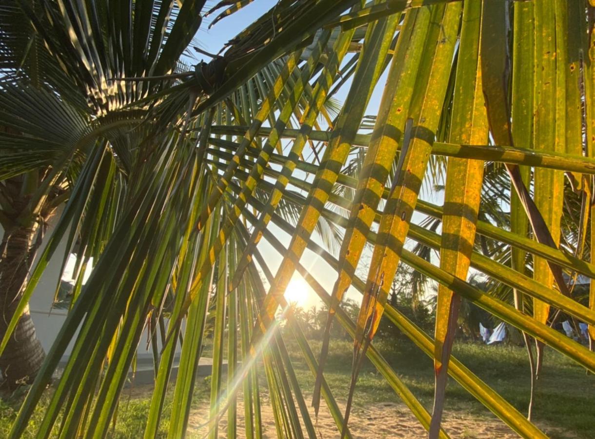 Coco Cabana Kite Resort Kalpitiya Luaran gambar